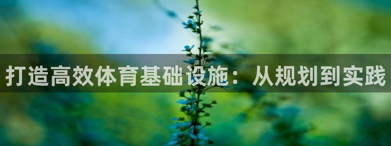 意昂4集团E.ON：打造高效体育基础设施：从规划到实