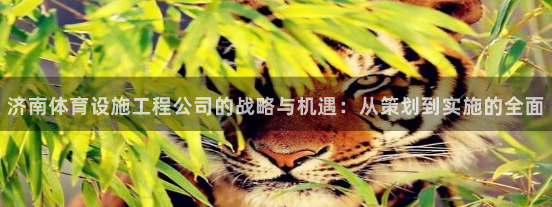 意昂4神州：济南体育设施工程公司的战略与机遇：从策划