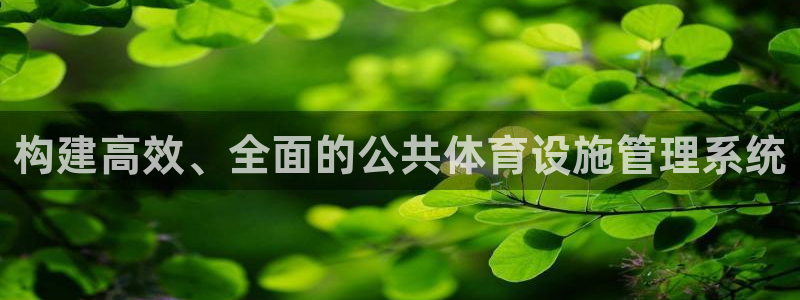 意昂4官网：构建高效、全面的公共体育设施管理系统
