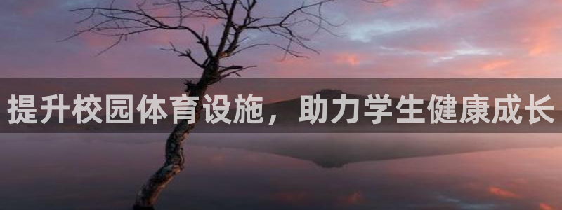 意昂体育4平台注册：提升校园体育设施，助力学生健康成