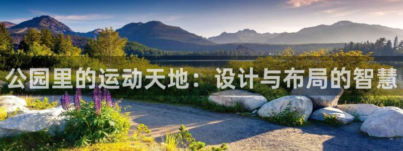 意昂4代理：公园里的运动天地：设计与布局的智慧