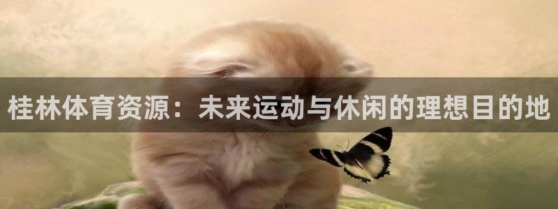 意昂体育4软件：桂林体育资源：未来运动与休闲的理想目