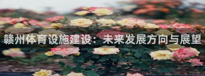 德国意昂4集团：赣州体育设施建设：未来发展方向与展望