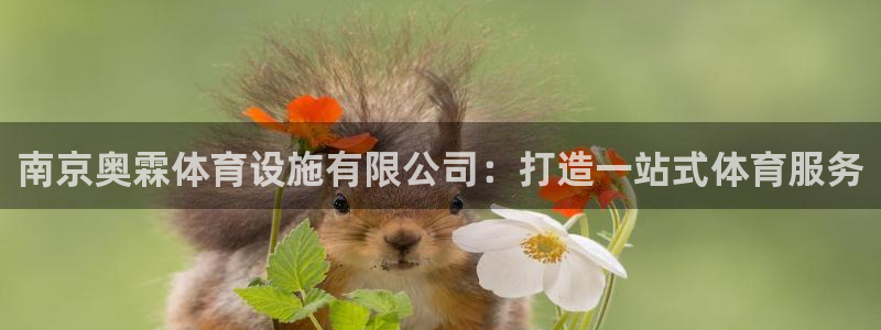 德国意昂4集团：南京奥霖体育设施有限公司：打造一站式