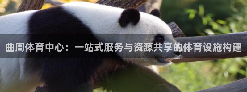 意昂体育4平台注册要钱吗是真的吗：曲周体育中心：一站