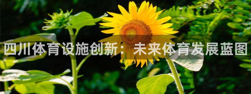 意昂4娱乐首页网站大全：四川体育设施创新：未来体育发