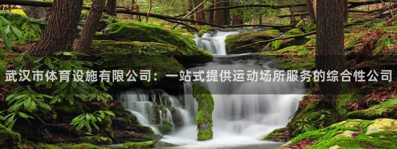 意昂4官方：武汉市体育设施有限公司：一站式提供运动场