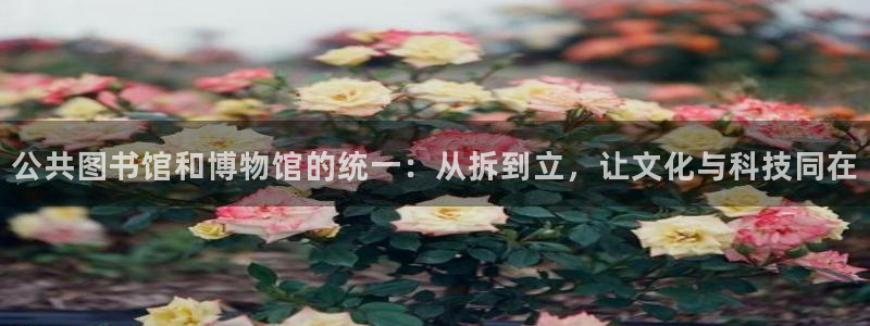 意昂体育4平台假的吗是真的吗吗：公共图书馆和博物馆的