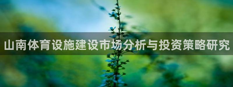 意昂4娱乐：山南体育设施建设市场分析与投资策略研究