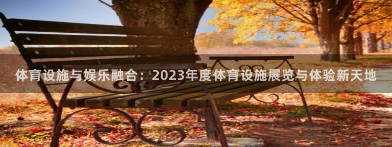 意昂体育4平台注册：体育设施与娱乐融合：2023年度