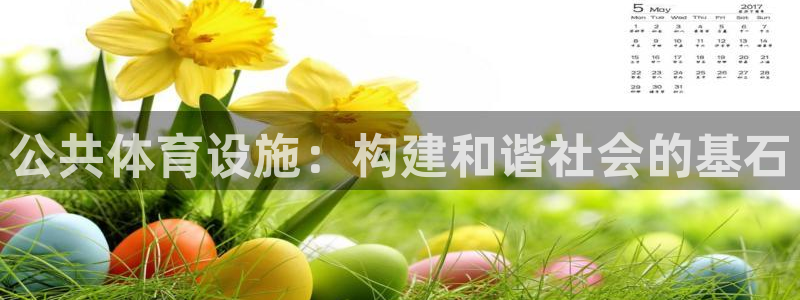 意昂4科技：公共体育设施：构建和谐社会的基石