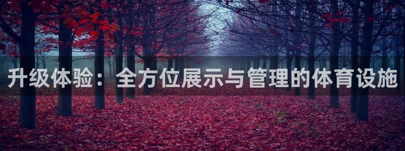 意昂体育4招商电话是多少号码：升级体验：全方位展示与