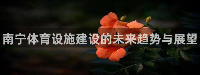 意昂4集团E.ON：南宁体育设施建设的未来趋势与展望