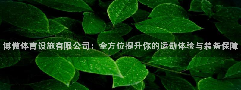 意昂集团官网：博傲体育设施有限公司：全方位提升你的运