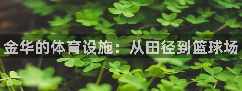 意昂体育4注册：金华的体育设施：从田径到篮球场