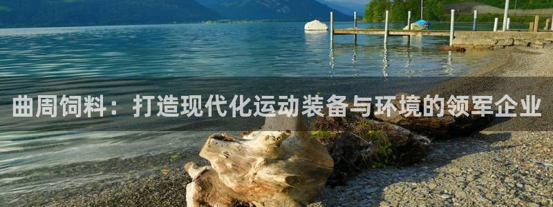 意昂体育4招商