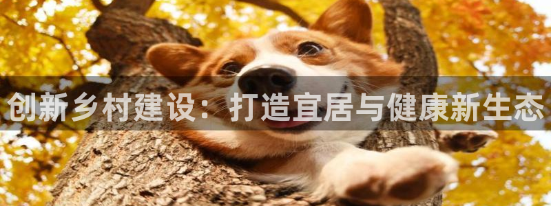 意昂体育4招商电话号码查询是多少