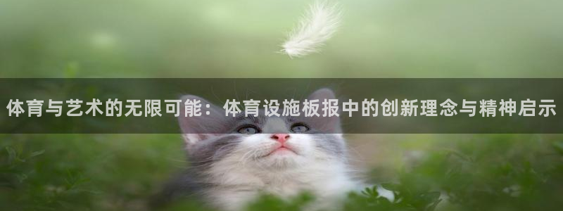 意昂4集团官网网址：体育与艺术的无限可能：体育设施板
