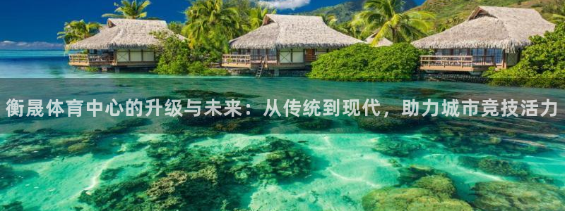 意昂4娱乐代理怎么样：衡晟体育中心的升级与未来：从传
