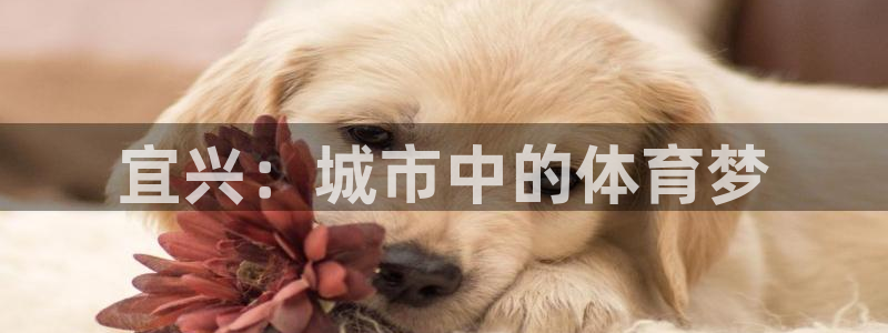 意昂体育4平台：宜兴：城市中的体育梦