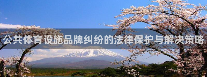 海南意昂体育4发展怎么样：公共体育设施品牌纠纷的法律