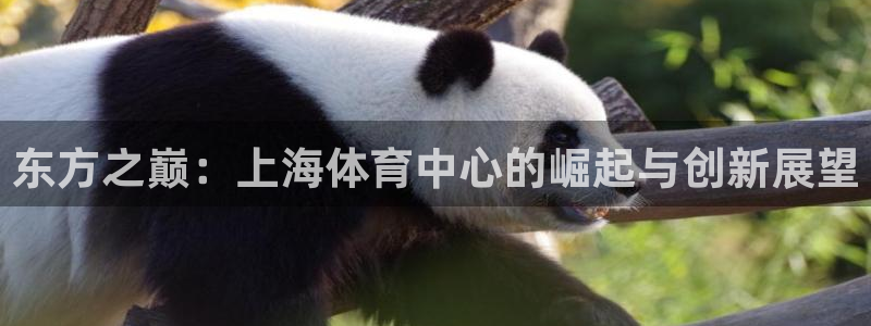 意昂4科技：东方之巅：上海体育中心的崛起与创新展望