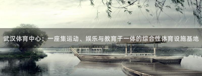 意昂4神州：武汉体育中心：一座集运动、娱乐与教育于一