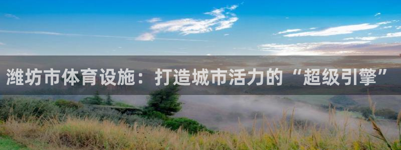 意昂体育4招商电话号码查询是多少：潍坊市体育设施：打