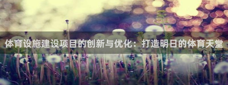 德国意昂4集团：体育设施建设项目的创新与优化：打造明