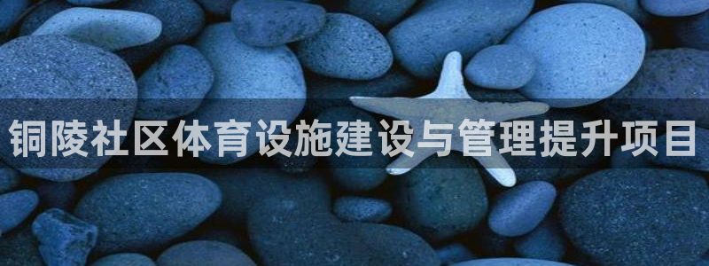 意昂体育4开户：铜陵社区体育设施建设与管理提升项目