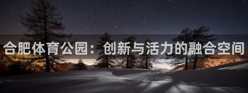 意昂体育4平台注册流程图：合肥体育公园：创新与活力的融合空间 