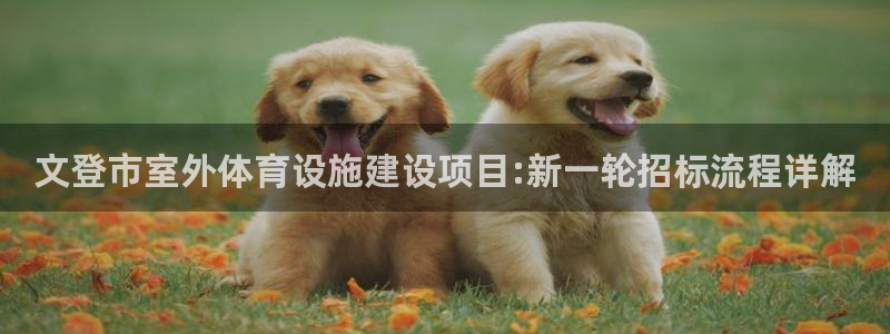 意昂体育4招商电话号码是多少号：文登市室外体育设施建设项目: