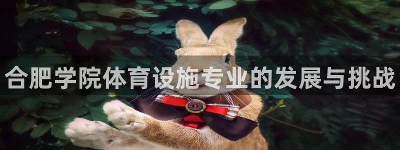 意昂4官方：合肥学院体育设施专业的发展与挑战