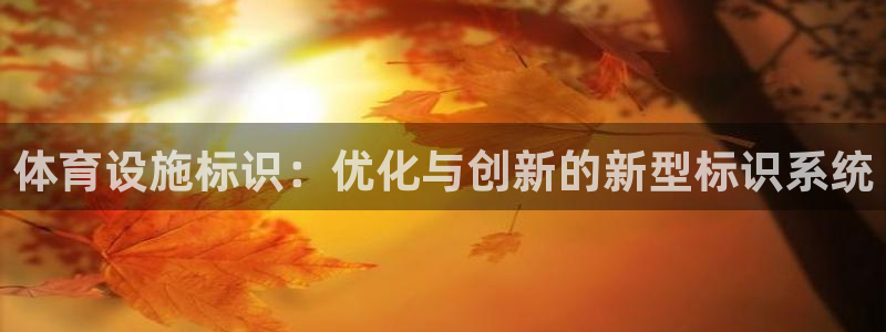 意昂4新能源：体育设施标识：优化与创新的新型标识系统