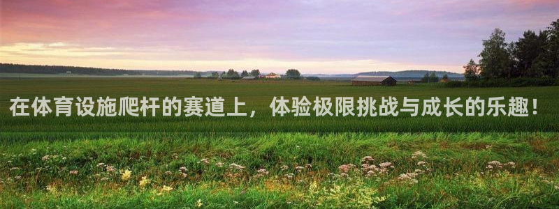 意昂4官方：在体育设施爬杆的赛道上，体验极限挑战与成