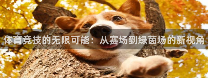 意昂体育4平台注册要钱吗：体育竞技的无限可能：从赛场
