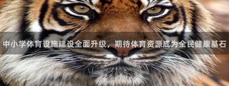 意昂体育4平台是正规平台吗知乎