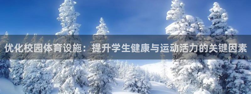 意昂4娱乐下载：优化校园体育设施：提升学生健康与运动