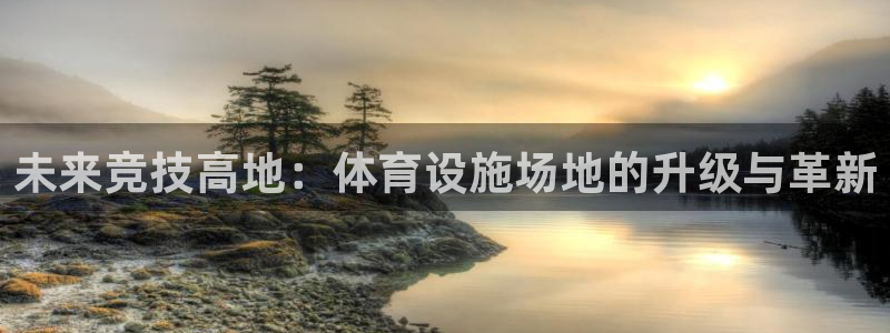 意昂体育4：未来竞技高地：体育设施场地的升级与革新