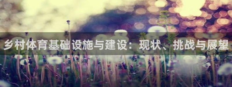 意昂体育4招商电话地址：乡村体育基础设施与建设：现状、挑战与