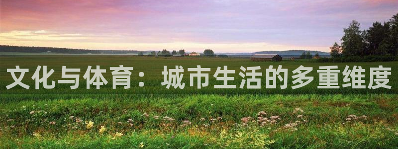 意昂体育4是干嘛的公司：文化与体育：城市生活的多重维度