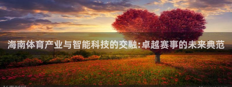 意昂4娱乐平台：海南体育产业与智能科技的交融:卓越赛事的未来
