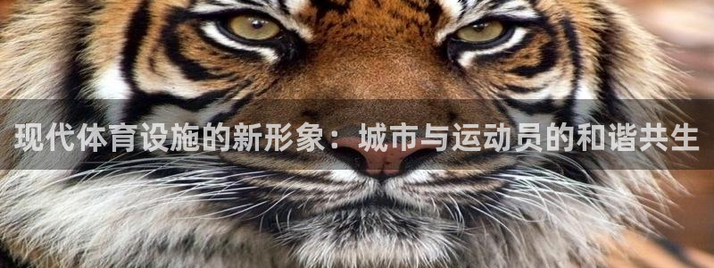 意昂4娱乐首页网站大全：现代体育设施的新形象：城市与运动员的 
