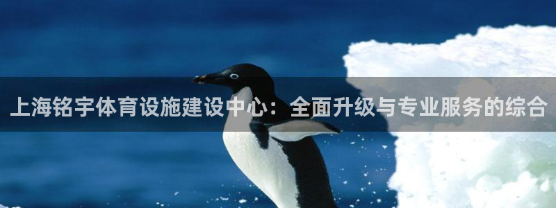 意昂体育4招商电话是多少号码：上海铭宇体育设施建设中