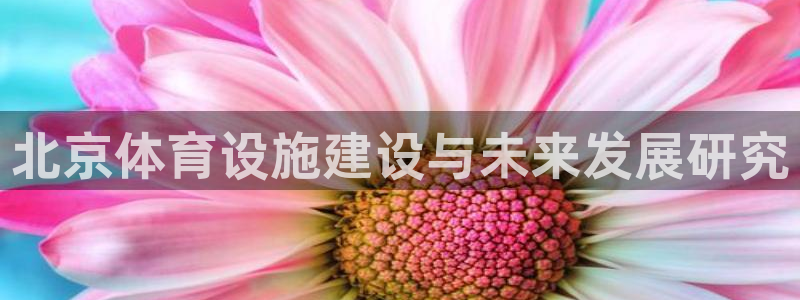 意昂体育4平台：北京体育设施建设与未来发展研究