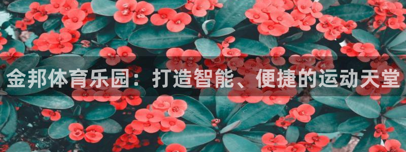 意昂4新能源：金邦体育乐园：打造智能、便捷的运动天堂