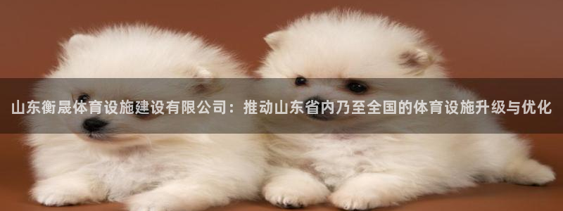 意昂集团官网：山东衡晟体育设施建设有限公司：推动山东