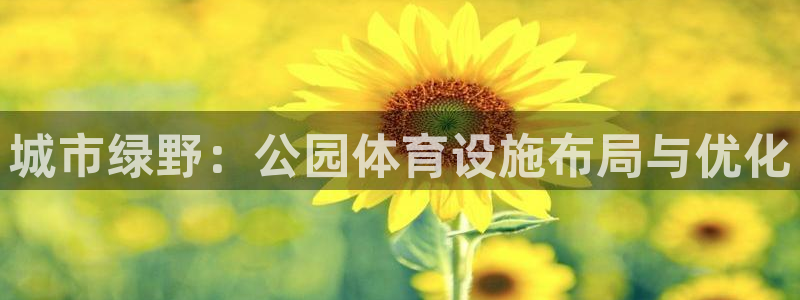 意昂体育4平台是正规平台吗：城市绿野：公园体育设施布