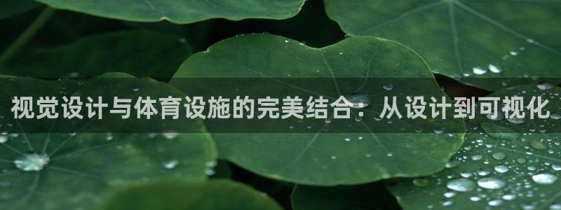 意昂4娱乐40996：视觉设计与体育设施的完美结合：