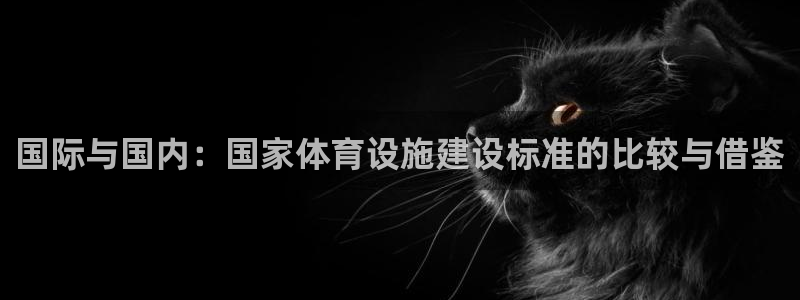 意昂平台体育：国际与国内：国家体育设施建设标准的比较
